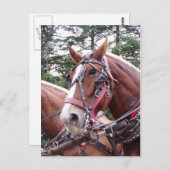 ビクビクして働く ポストカード (正面/裏面)