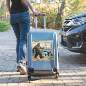 ビグお洒落フットとオルカ シール (スーツケースインサイチュ)