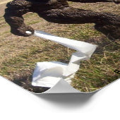 ビグフットため ポスター (角)