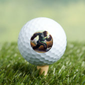 ビグフットランニング ゴルフボール (インサイチュ 木)