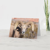 ビグホーンシープグリーテ男らしィングカード カード (正面)