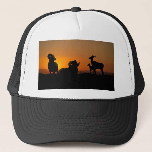 ビグーン羊 キャップ (正面)