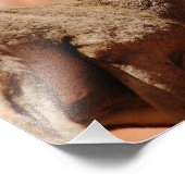 ビグーン羊 フォトプリント            (角)