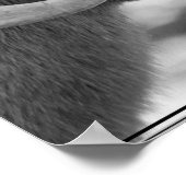 ビグーン羊 ポスター (角)