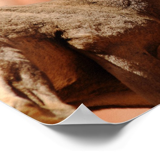 ビグーン羊 ポスター (角)