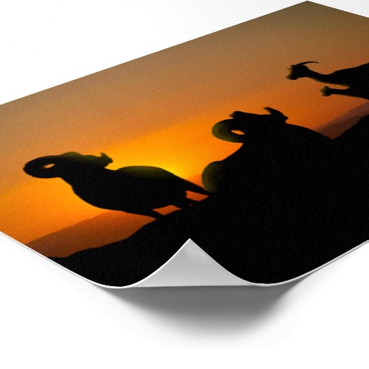 ビグーン羊 ポスター (角)