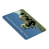 ビグーン羊 マグネット (右側)