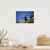 ビグーン羊(ラム警告の山の崖の顔 ポスター (キッチン)