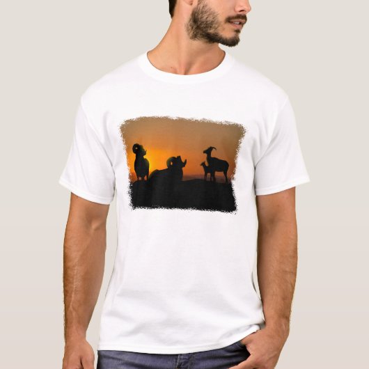 ビグーン羊 Tシャツ (正面)