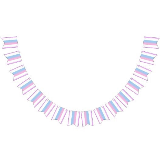 ビゲダープライドフラッグBuntingバナーLGBTパーティー バンティングフラッグ (全)