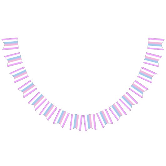 ビゲンダープライドフラグ バンティングフラッグ (全)