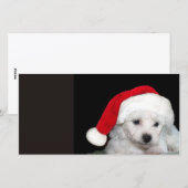 ビコンフリースクリスマス シーズンカード (正面/裏面)