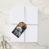 ビコンフリースハロウィンホラー ギフトタグ (より糸付き)