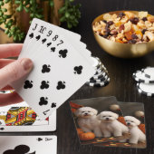 ビコンフリースパピーオータムデライトカボチャ トランプ (インサイチュ)