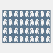 ビコンフリースラッピング紙シート ラッピングペーパーシート (正面2)