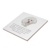 ビコンフリーズ形容姿FEMALE タイル (側面)