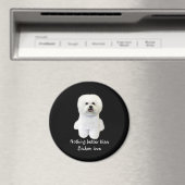 ビコンフリーズ磁石 マグネット (インサイチュ (食洗機))