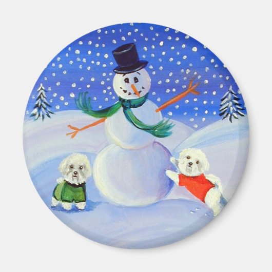 ビコンフリーズ磁石 マグネット (正面)