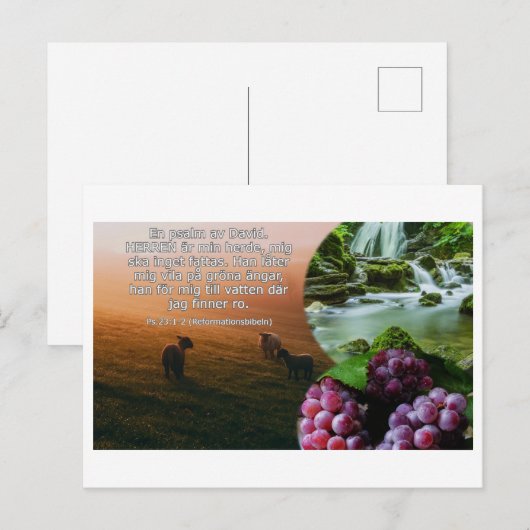 ビコート – Psalm 23:1-2 ポストカード (正面/裏面)