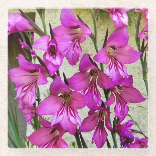 ビザンチングラジオラス ガラスコースター (正面)