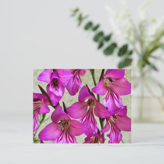 ビザンチングラジオラス ポストカード (スタンド正面)