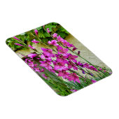 ビザンチングラジオラス マグネット (右側)