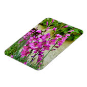 ビザンチングラジオラス マグネット (左側)