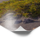 ビザンチン時代の礼拝堂でギリシャのクレタ島のビーチ フォトプリント            (角)