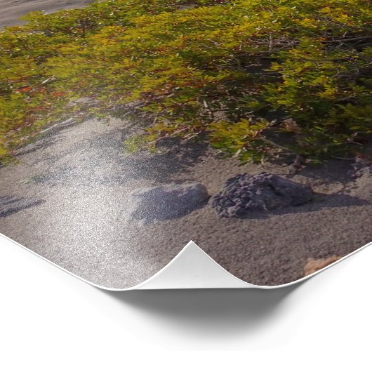 ビザンチン時代の礼拝堂でギリシャのクレタ島のビーチ フォトプリント            (角)