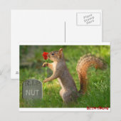 ビザールワールド 弔いのスイカーポストカード ポストカード (正面/裏面)