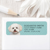 ビシオンズフリーズ差出人住所ラベル ラベル (インサイチュ)