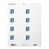 ビシオンフリースラベル ラベル (フルシート)