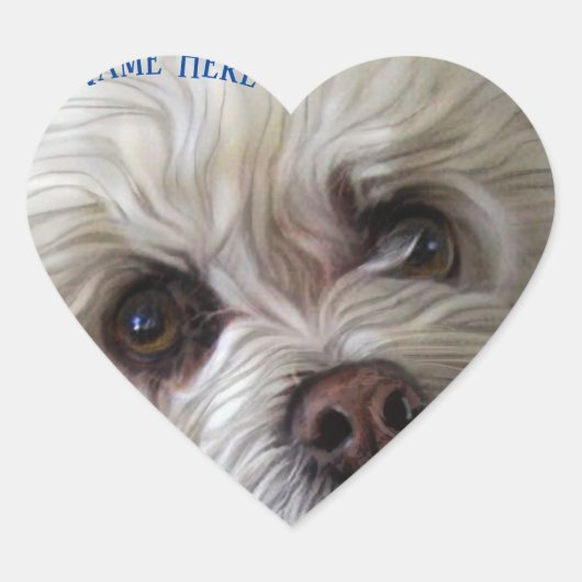 ビシホンプードルマルチーズピーカブーのステッカー ハートシール (正面)