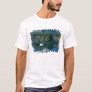ビショップスベイ、ロックレヴェン、バラフーリッシュ、 Tシャツ