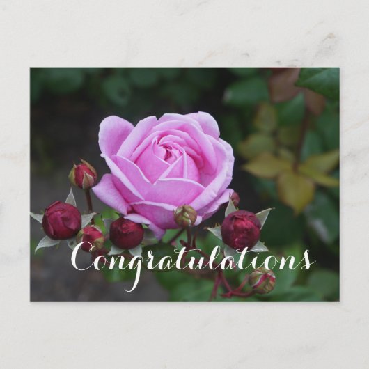 ビショップズキャッスル #1 ポストカード おめでとう (正面)