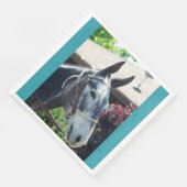 ビショップMule日パレード2018 (コーナー)