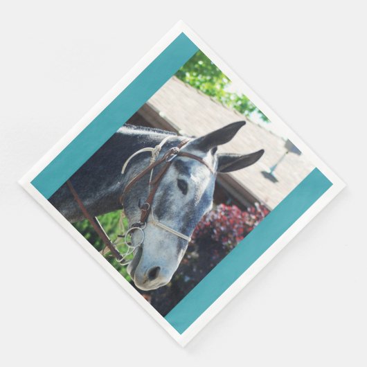 ビショップMule日パレード2018 (コーナー)