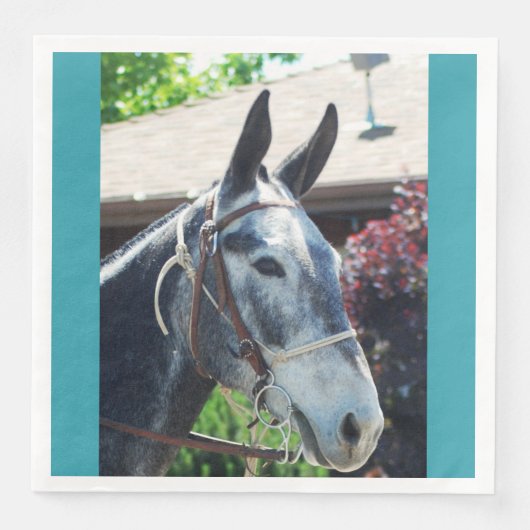 ビショップMule日パレード2018 (正面)