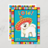 ビションフィエスタ 招待状 (正面/裏面)