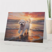ビションフリゼのサンディポーズ ビーチの夕焼け犬 カード (正面)