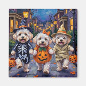 ビションフリーゼのハロウィンコスチューム マグネット (正面)