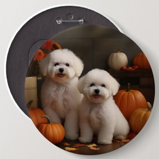 ビションフリーゼの子犬 秋の喜びのかぼちゃ 缶バッジ (正面&裏面)