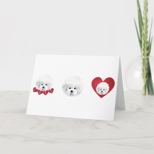 ビションフリーゼ ミックス シーズンカード (正面)