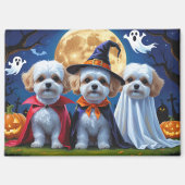 ビションフリーゼ 犬 かぼちゃ ハロウィン 面白い マグネット (正面)