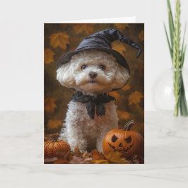 ビション・ウィッチ・ハロウィン シーズンカード