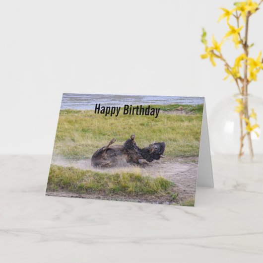 ビジオンのダストバス、ワイオミング州イエローストーン国立公園 カード (黄色い花)