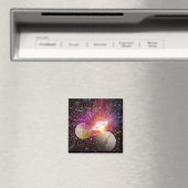 ビジター マグネット (インサイチュ (食洗機))