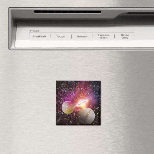 ビジター マグネット (インサイチュ (食洗機))