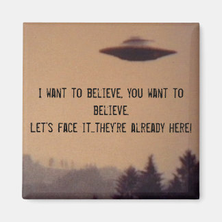 ビジター マグネット