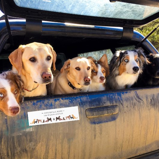 ビジネスドッグウォーカーペットシッ広告ツズ バンパーステッカー